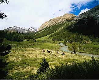 《生化危机4：重制版》VR模式实机演示 狂拼手速！