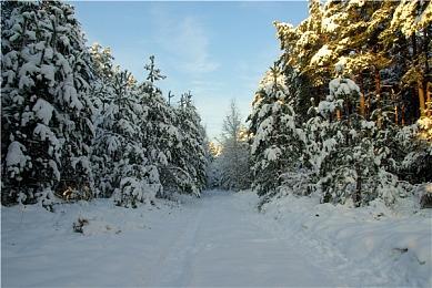 《暗黑破坏神4》设计师不希望玩家在游戏里过于强大